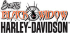 Bert's Black Widow Harley-Davidson