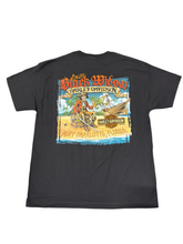 Load image into Gallery viewer, Shipwreck
