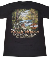 Load image into Gallery viewer, Swamp
