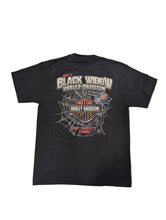 Load image into Gallery viewer, 3-D Spider
